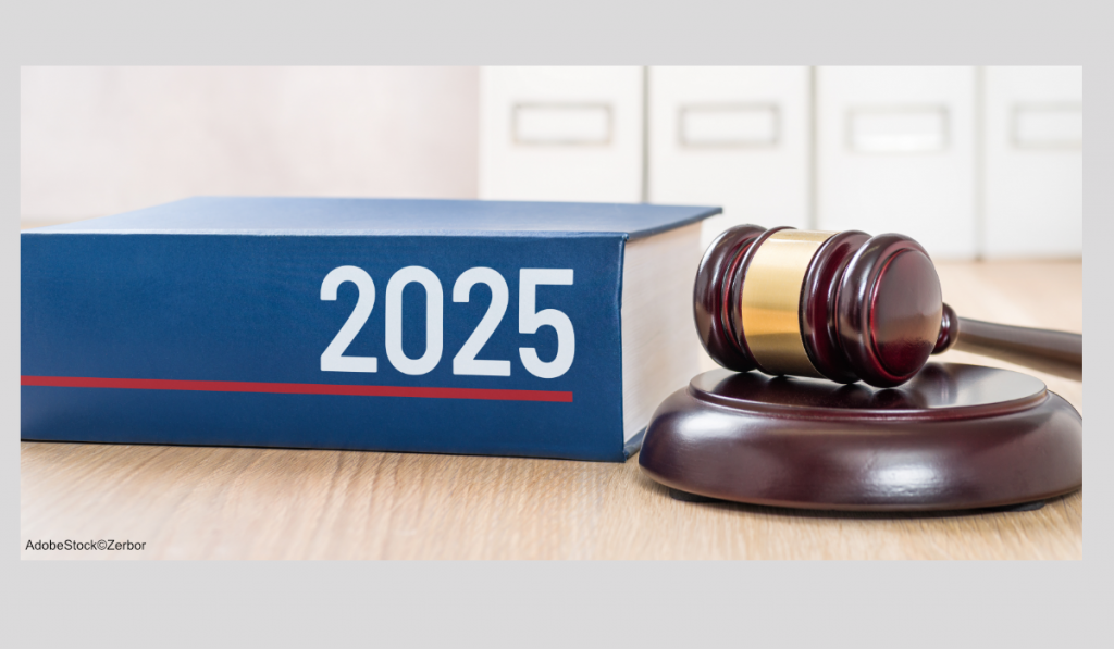 Gesetzbuch mit der Aufschrift 2025, ein Richterhammer (Holz mit Gold) auf Tisch